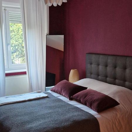 Cosy Appartement Complet Centre-Ville Montbéliard Екстериор снимка