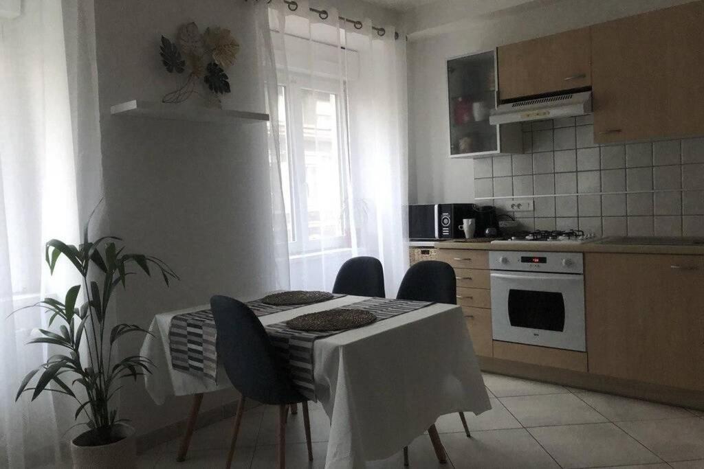 Cosy Appartement Complet Centre-Ville Montbéliard Екстериор снимка