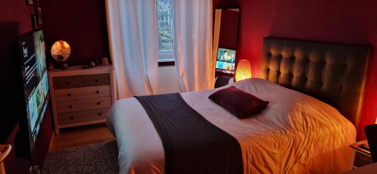 Cosy Appartement Complet Centre-Ville Montbéliard Екстериор снимка