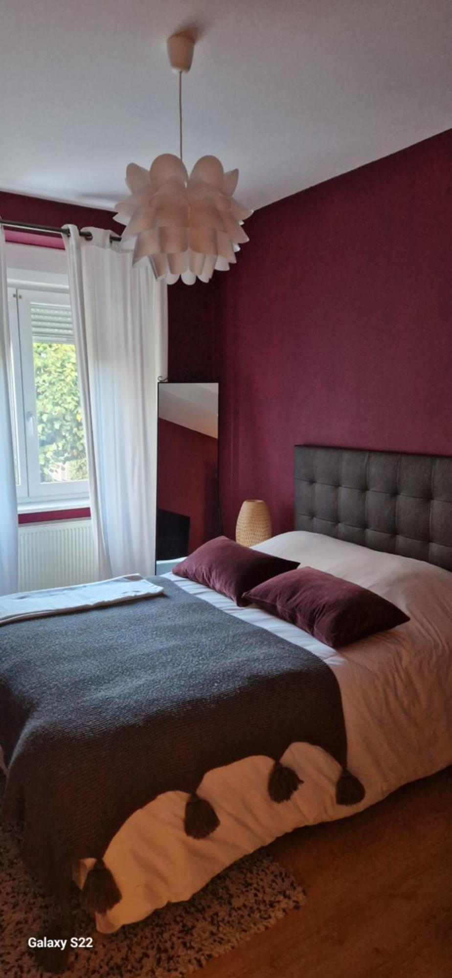 Cosy Appartement Complet Centre-Ville Montbéliard Екстериор снимка